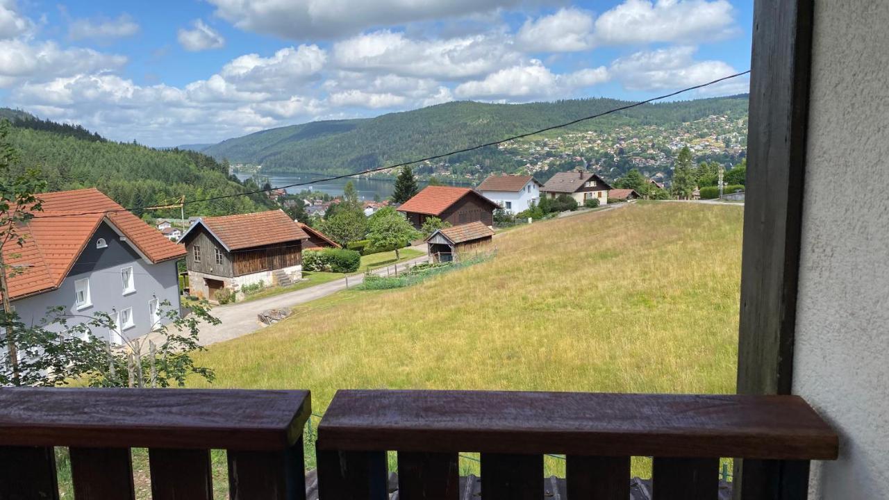Appartement Le Grand Duc Gérardmer Kültér fotó
